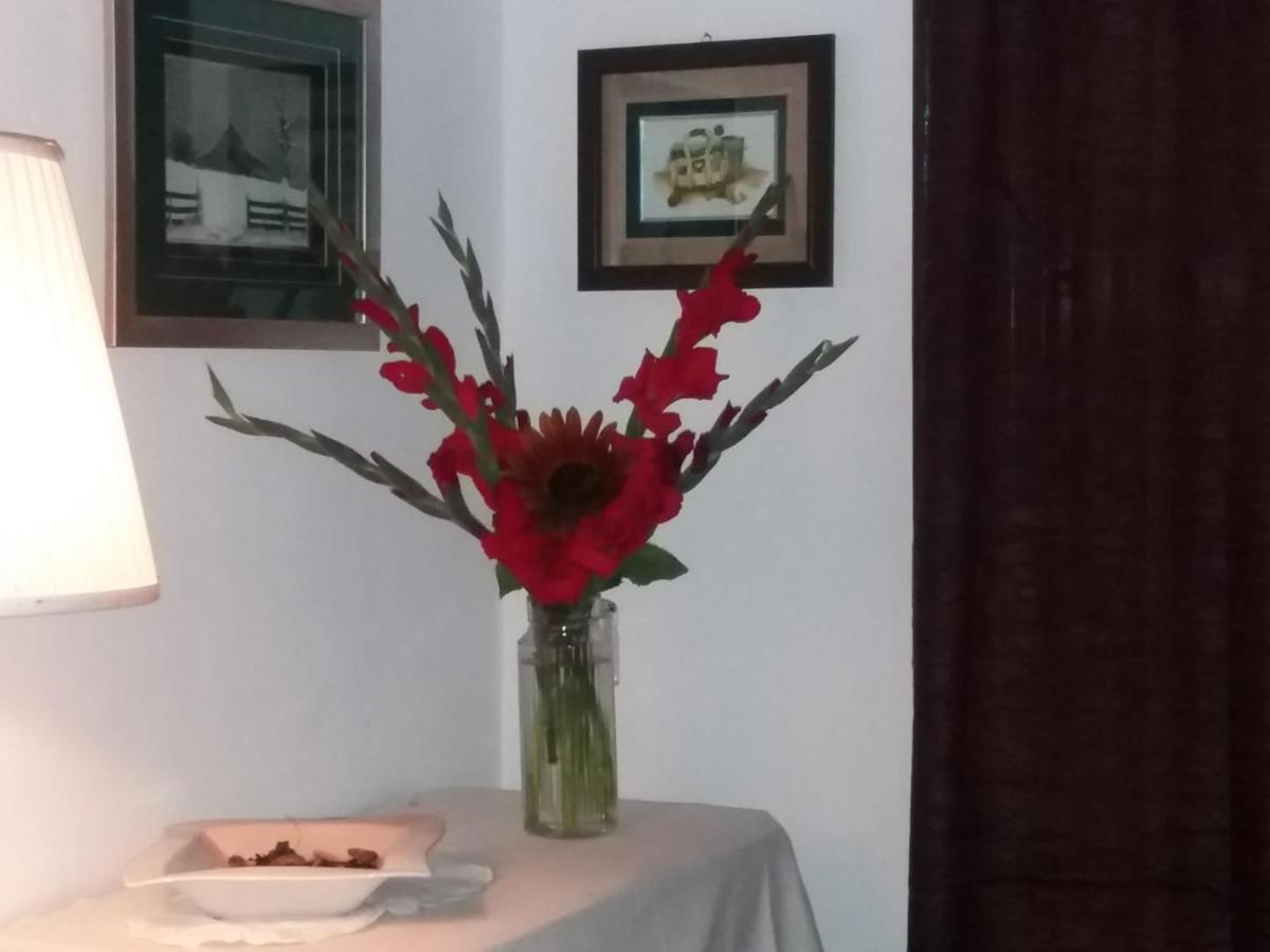 Casa Dragao Bed & Breakfast Porto Bagian luar foto