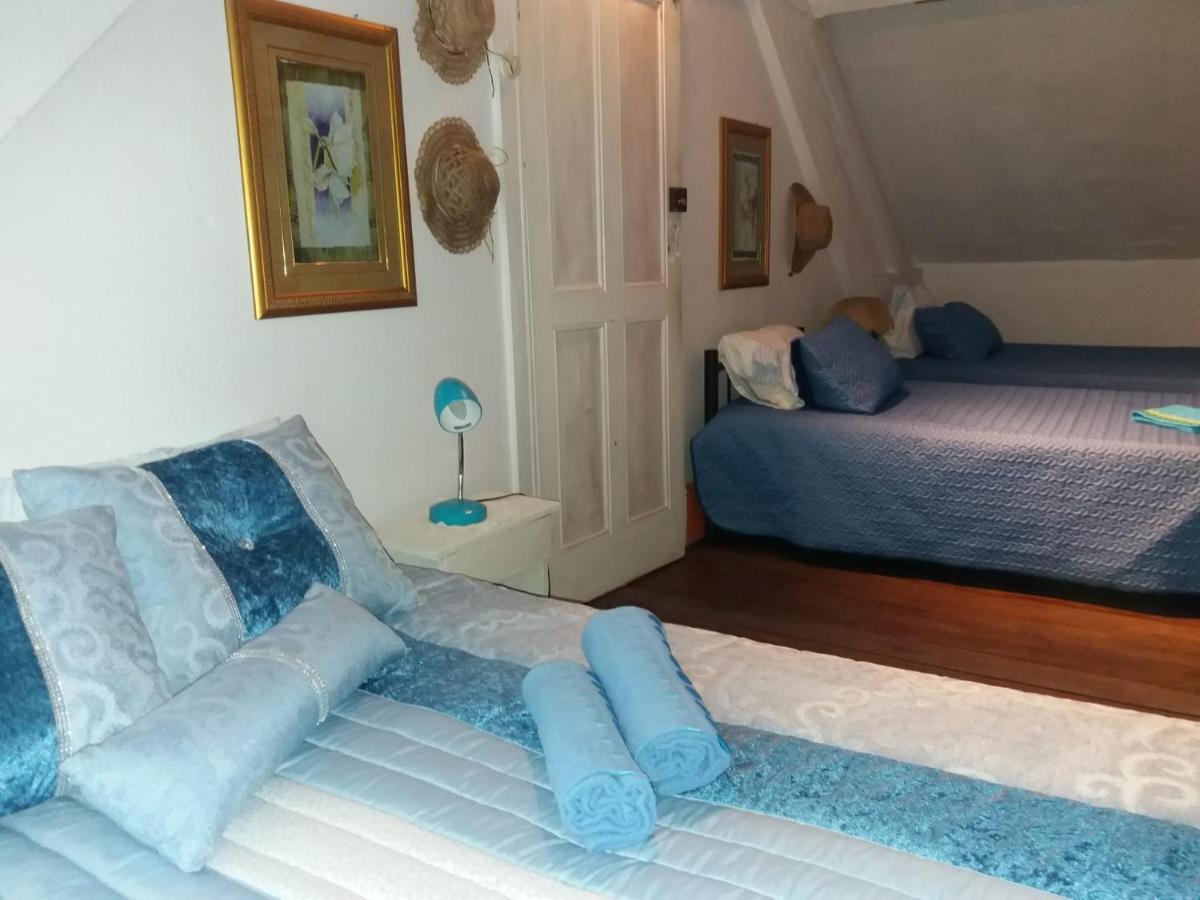 Casa Dragao Bed & Breakfast Porto Bagian luar foto