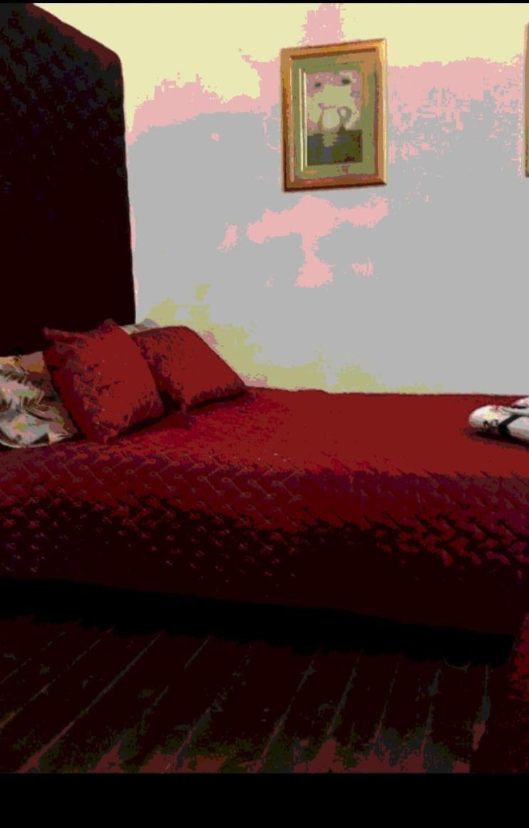 Casa Dragao Bed & Breakfast Porto Bagian luar foto
