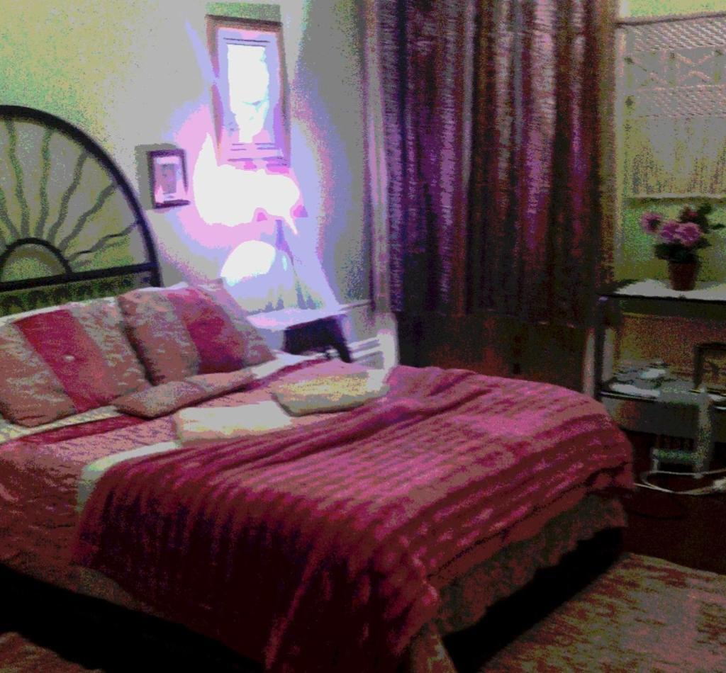 Casa Dragao Bed & Breakfast Porto Bagian luar foto
